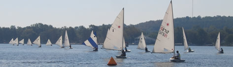 Lasers and Sunfish Sailing Downwind
